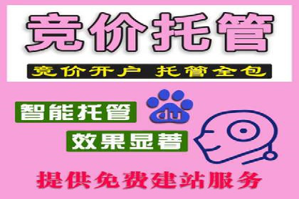 竞价托管新模式：企业成功案例解析